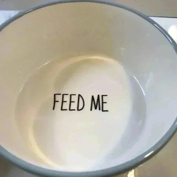 2‎ dog bowls L/M Ceramic dog Bowl Labrador Feed Me plus cat dish eat sleep New - Picture 2 of 9